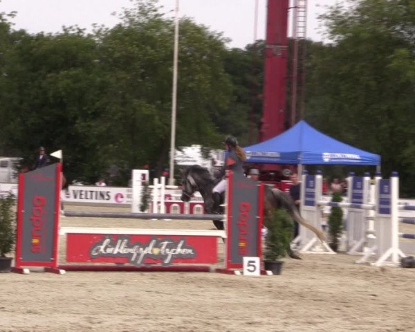 Reitturnier Wietmarschen 2019