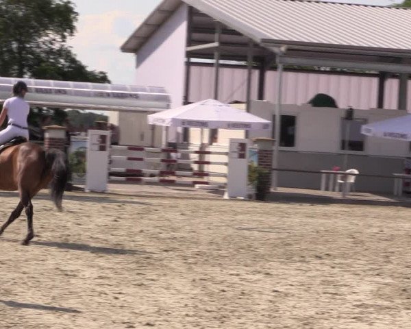Reitturnier Wietmarschen 2019