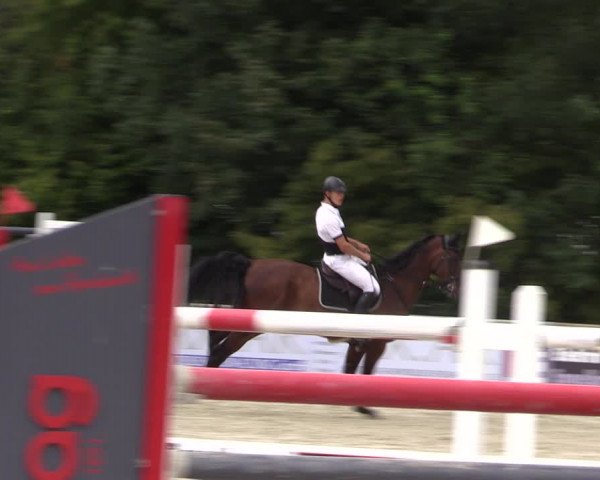 Reitturnier Wietmarschen 2019