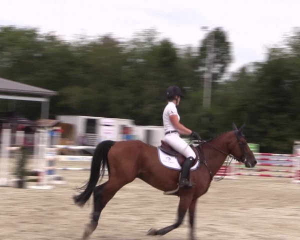 Reitturnier Wietmarschen 2019