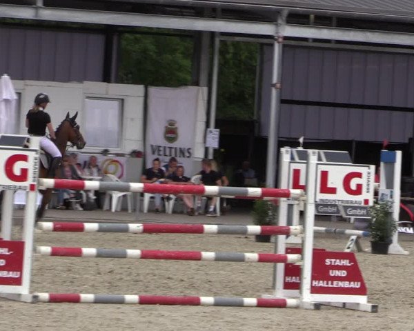 Reitturnier Wietmarschen 2019