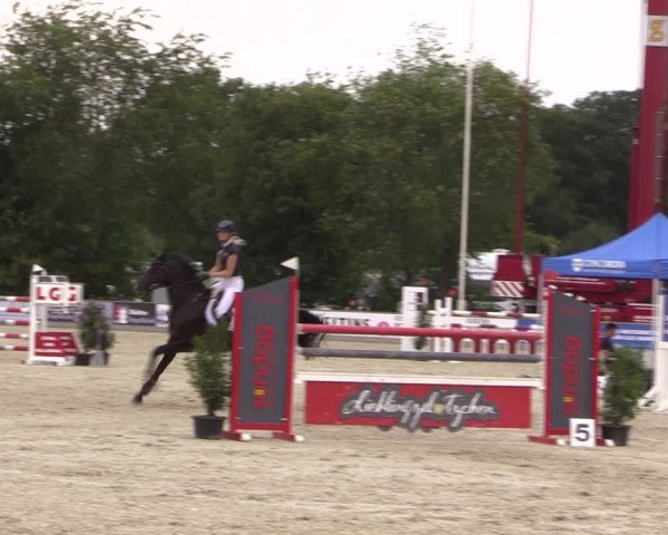 Reitturnier Wietmarschen 2019