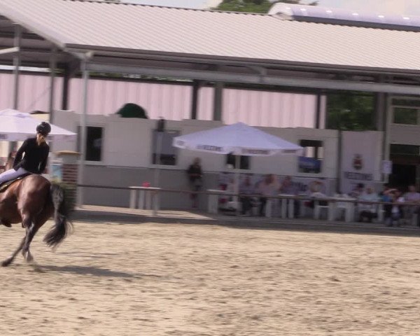 Reitturnier Wietmarschen 2019