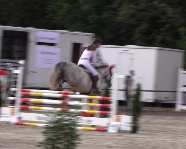 Reitturnier Wietmarschen 2019