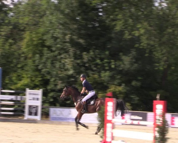 Reitturnier Wietmarschen 2019
