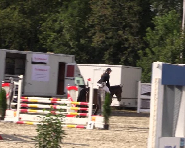 Reitturnier Wietmarschen 2019