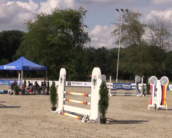 Reitturnier Wietmarschen 2019