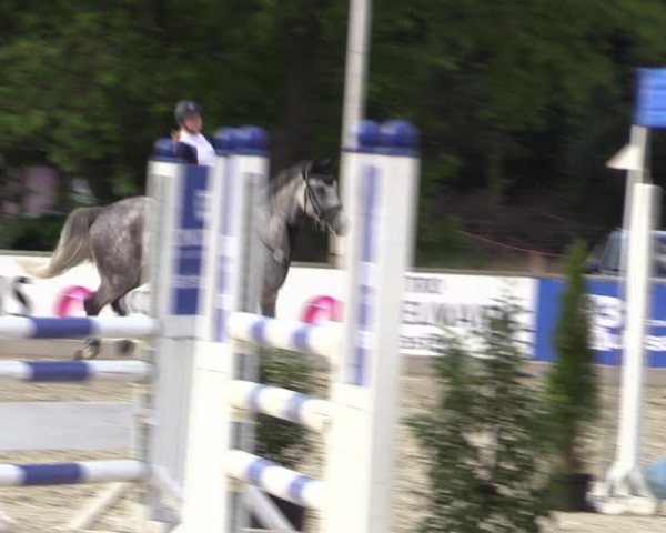 Reitturnier Wietmarschen 2019