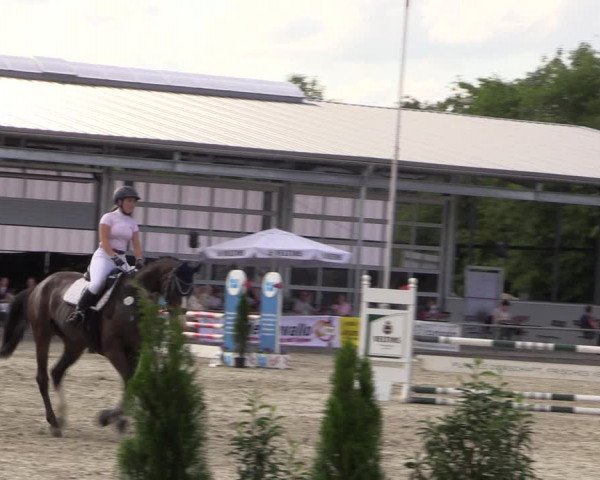 Reitturnier Wietmarschen 2019