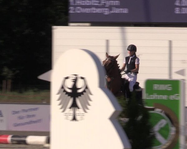 Reitturnier Wietmarschen 2019