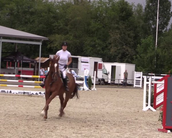 Reitturnier Wietmarschen 2019