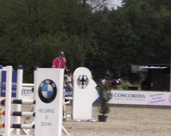 Reitturnier Wietmarschen 2019