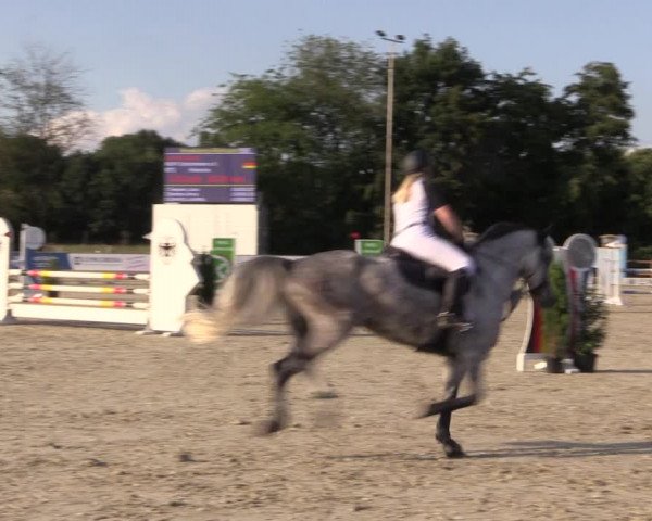 Reitturnier Wietmarschen 2019