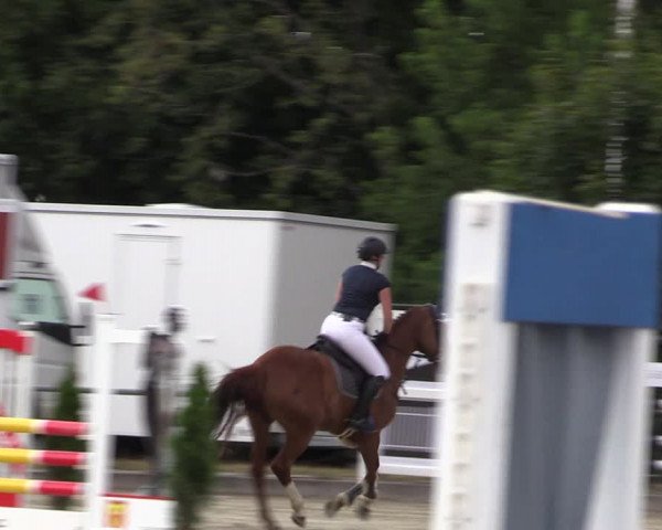 Reitturnier Wietmarschen 2019