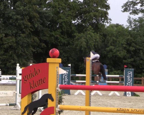 Reitturnier Wietmarschen 2019