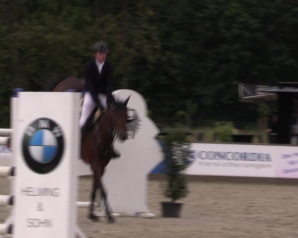 Reitturnier Wietmarschen 2019