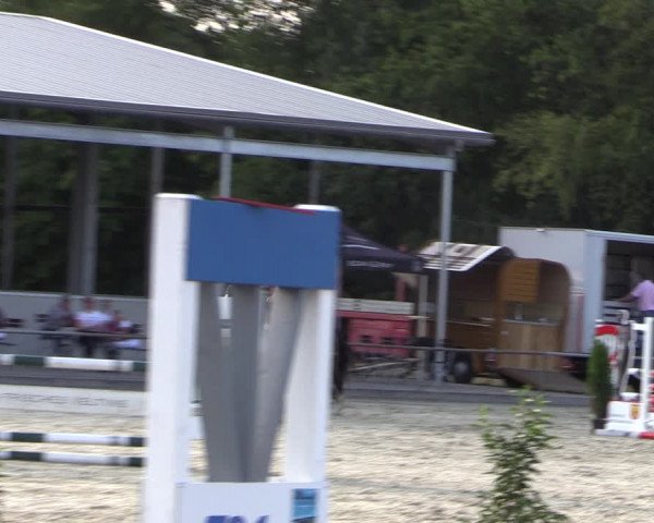 Reitturnier Wietmarschen 2019