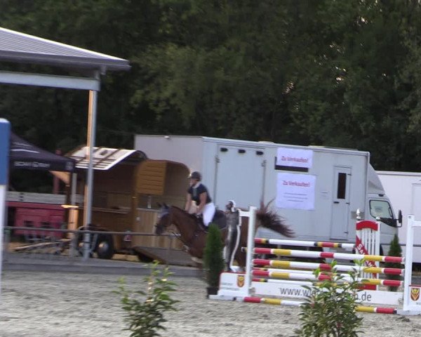 Reitturnier Wietmarschen 2019