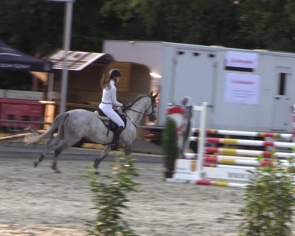 Reitturnier Wietmarschen 2019