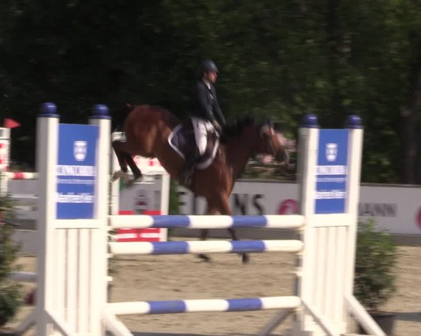 Reitturnier Wietmarschen 2019