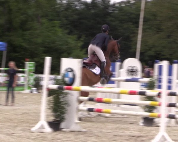 Reitturnier Wietmarschen 2019