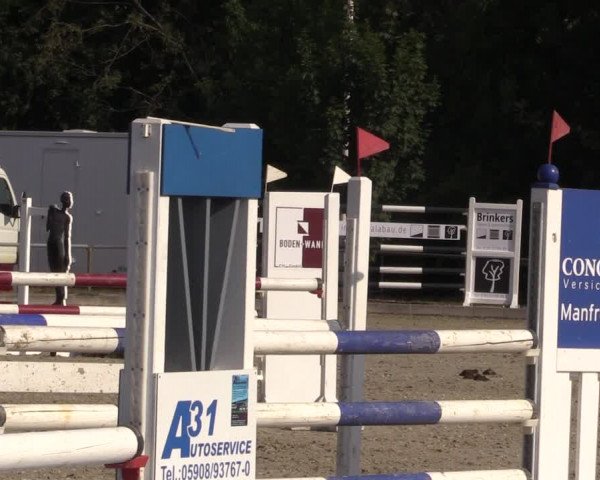Reitturnier Wietmarschen 2019