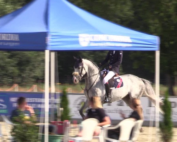 Reitturnier Wietmarschen 2019