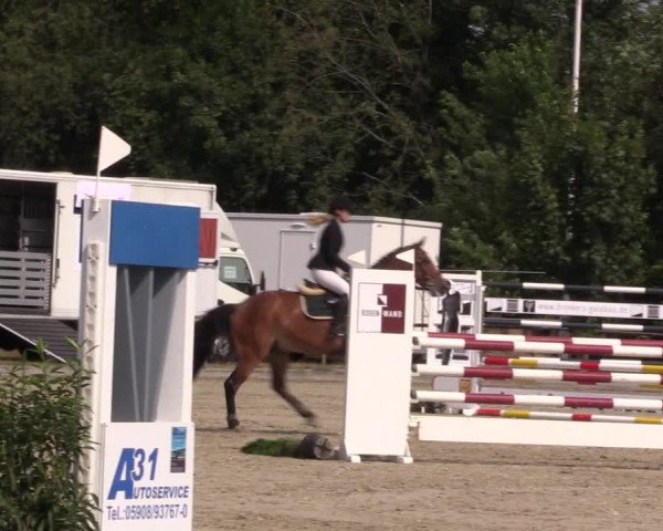 Reitturnier Wietmarschen 2019