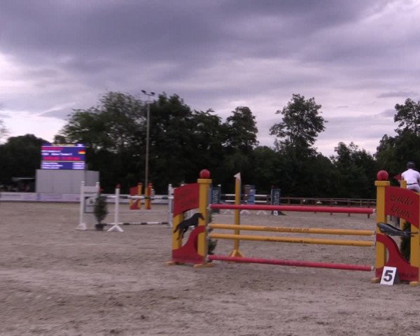 Reitturnier Wietmarschen 2019