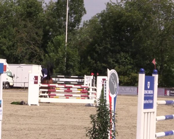 Reitturnier Wietmarschen 2019