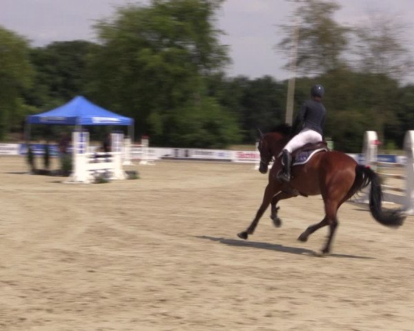 Reitturnier Wietmarschen 2019