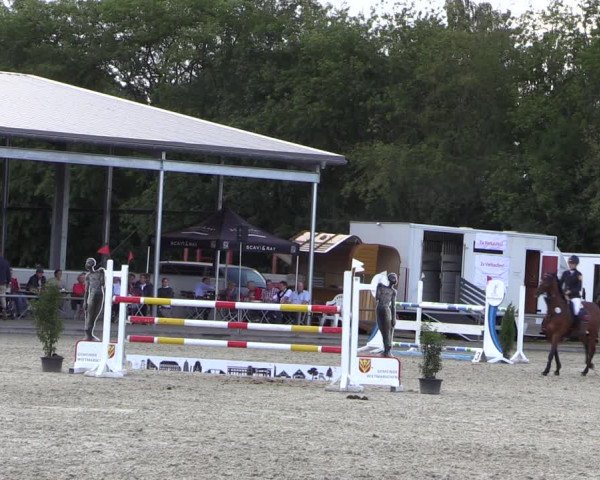 Reitturnier Wietmarschen 2019