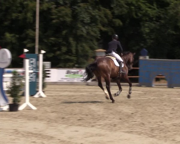 Reitturnier Wietmarschen 2019