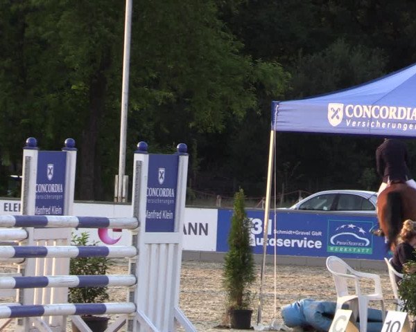 Reitturnier Wietmarschen 2019