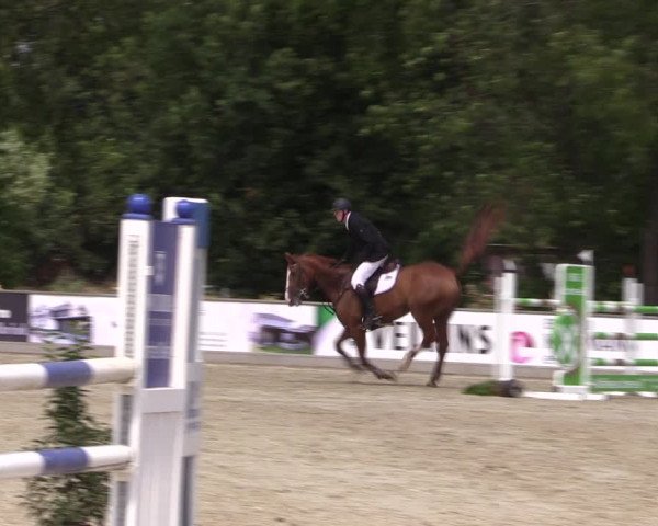 Reitturnier Wietmarschen 2019