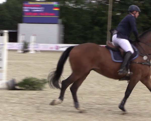 Reitturnier Wietmarschen 2019