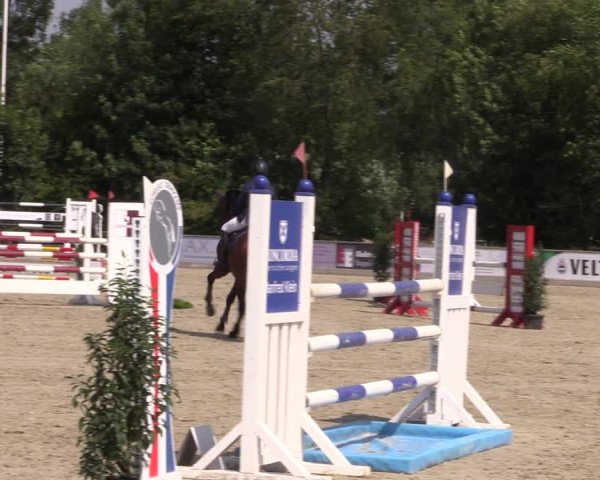 Reitturnier Wietmarschen 2019