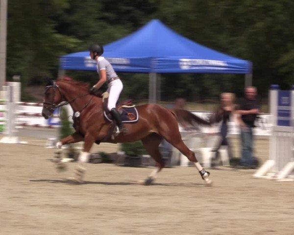 Reitturnier Wietmarschen 2019