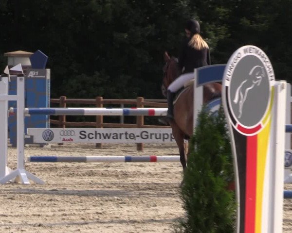 Reitturnier Wietmarschen 2019