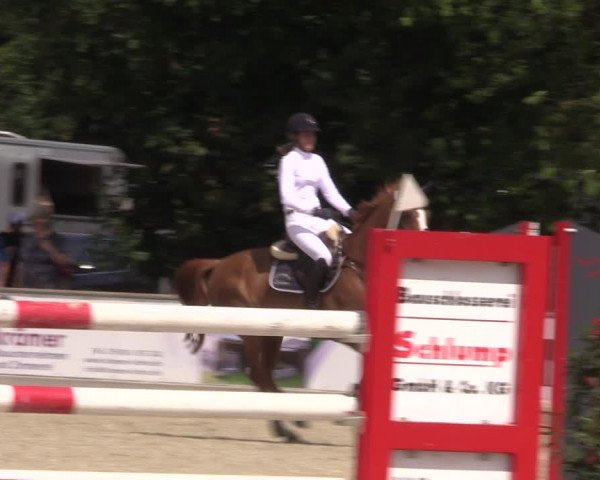 Reitturnier Wietmarschen 2019