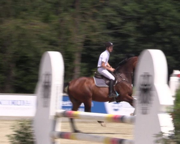 Reitturnier Wietmarschen 2019