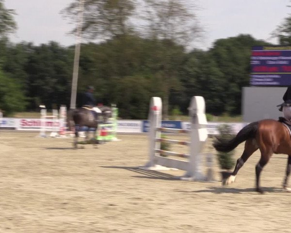 Reitturnier Wietmarschen 2019