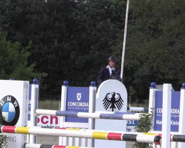 Reitturnier Wietmarschen 2019
