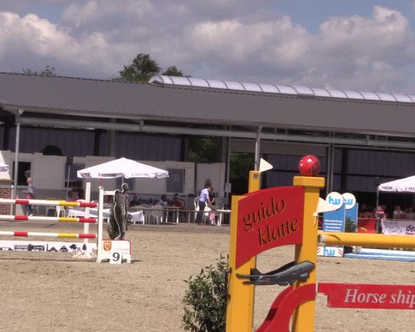 Reitturnier Wietmarschen 2019