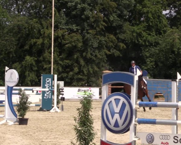 Reitturnier Wietmarschen 2019