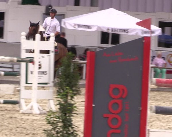 Reitturnier Wietmarschen 2019