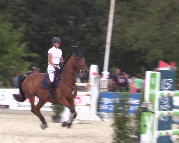 Reitturnier Wietmarschen 2019