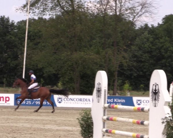 Reitturnier Wietmarschen 2019