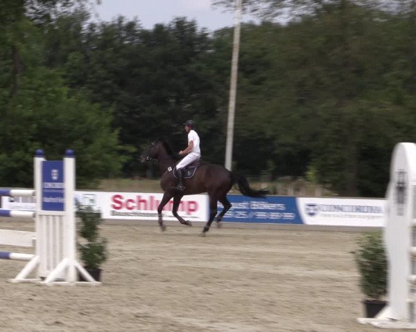 Reitturnier Wietmarschen 2019