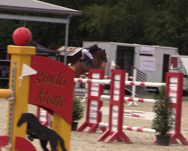 Reitturnier Wietmarschen 2019